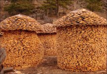 Firewood 6.jpg
