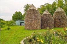 Firewood 8.jpg