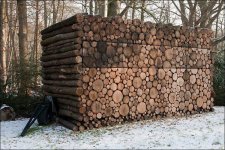 Firewood 16.jpg