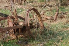DSC_6312.JPG