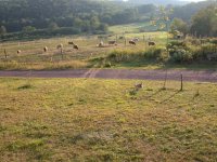 Dscn0551.jpg