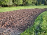 field2.JPG