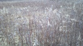 2013-01-15_16-38-21_863.jpg 2013-01-15_16-38-21_863.jpg