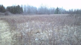 2013-01-15_16-38-27_532.jpg 2013-01-15_16-38-27_532.jpg