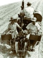 Mechanicaltransplanter.jpg