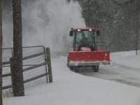 IMG_8246.JPG