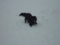 DSC00354.jpg