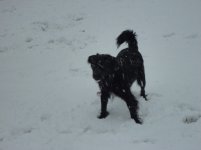 DSC00355.jpg