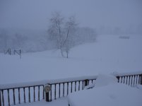 DSC00362.jpg
