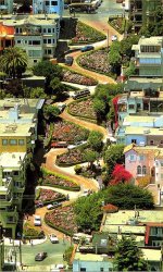 Skateboarder-vs-Lombard-Street.jpg