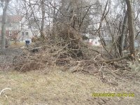 8x6-brushpile2.JPG