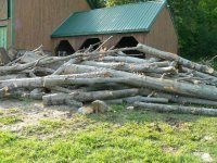 Logging 2012 010.jpg