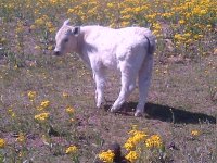 IMG-20130313-00194.jpg