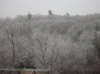 DSC00420.jpg