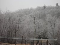 DSC00421.jpg