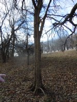 DSCN3038.jpg