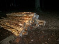 12-2-12 Stack of debarked Cedar Posts.jpg