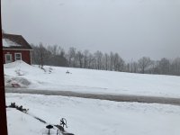 IMG_0022.jpeg