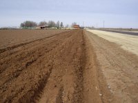 Plowing 1.JPG Plowing 1.JPG