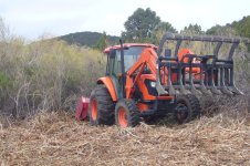Mowing Willow.JPG