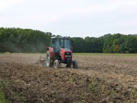 farming 2012 015.jpg