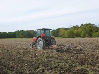 farming 2012 021.jpg