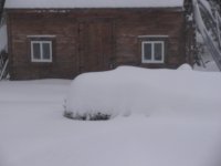 IMG_5441.JPG