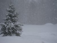 IMG_0705.jpg