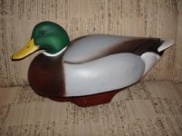 MALLARD.jpg