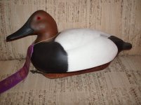 CANVASBACK.jpg