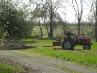 DSCN1545.jpg