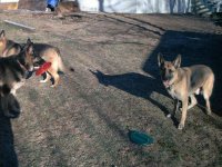 553553-playing3.JPG