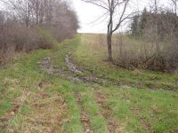 421615-Rutted Road.jpg