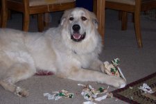 554274-Theo presents.jpg