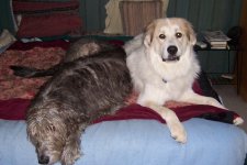 554277-Theo & His Big Brother.jpg