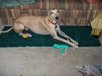 554373-rocky.jpg