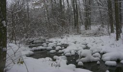 376222-creek.jpg