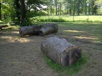 467421-IM000261.JPG