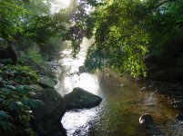 376369-Creek1.JPG