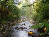 376371-Creek2.JPG