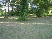 467427-IM000270.JPG
