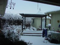 376664-Image001.jpg