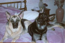554779-Thomas and Billy 1.JPG
