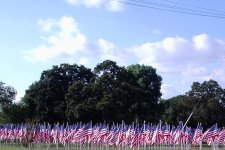 511525-Flags 005.jpg
