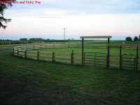 467834-IMG_1461.JPG