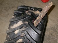 594685-Bota Flat 052 (600 x 450).jpg