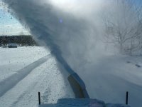 555310-Blowin In The Wind.JPG
