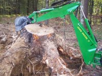 511782-Big Stump 2.jpg