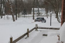 IMG_5730-M.jpg
