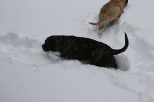 IMG_5709-M.jpg